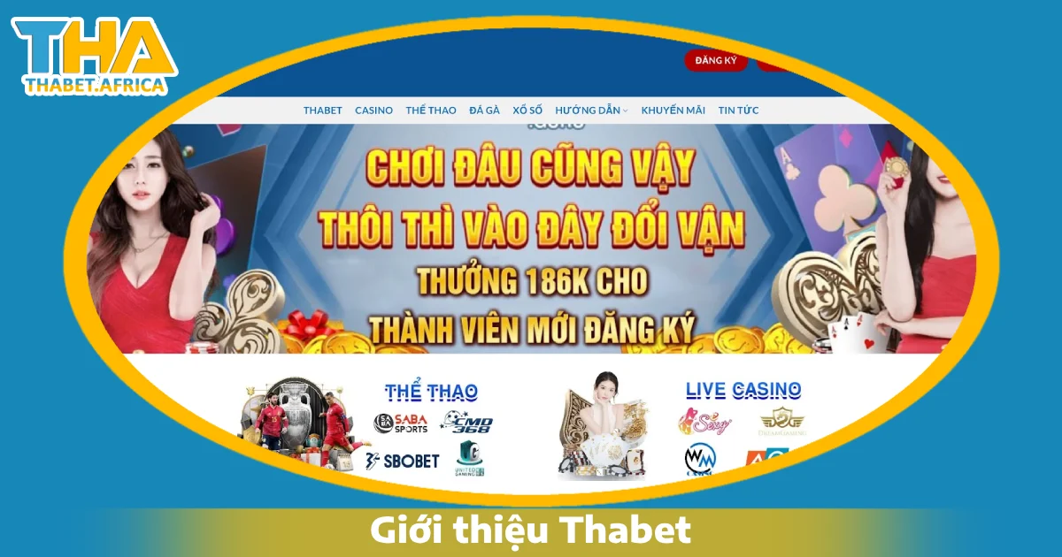 Thabet có đáng tin cậy không?