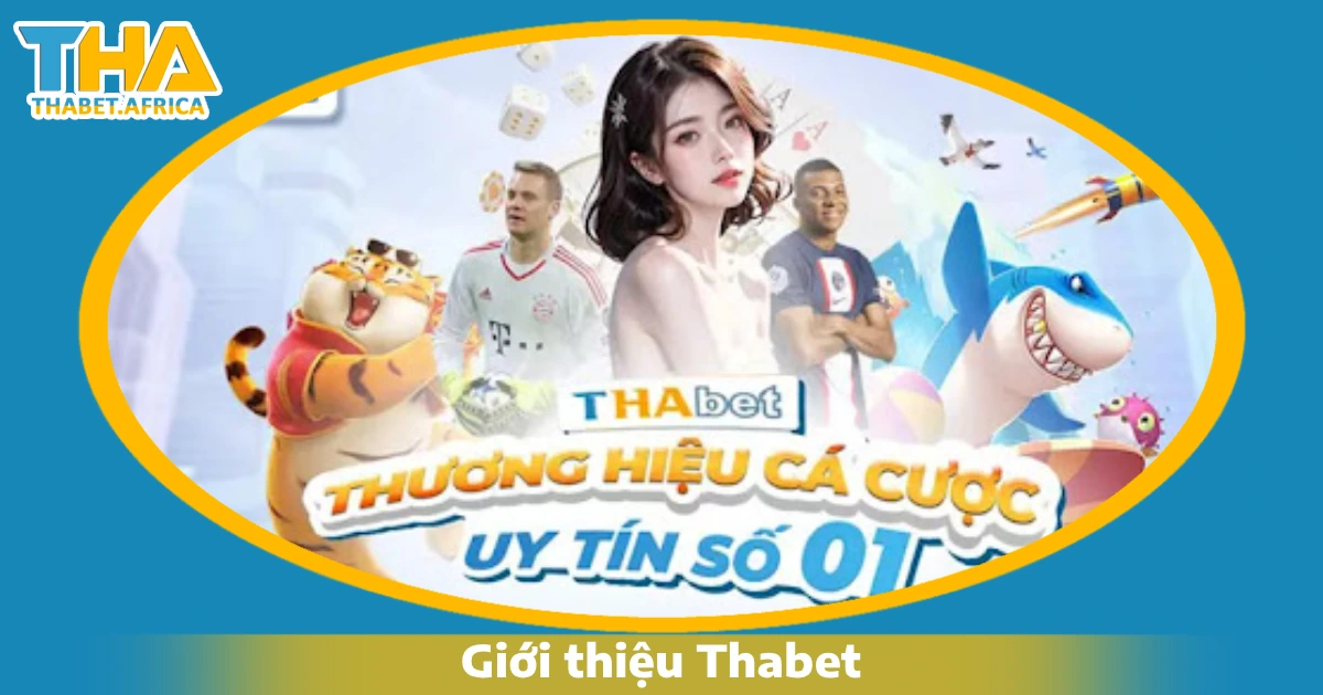 Những lý do nên chọn Thabet thay vì các nhà cái khác